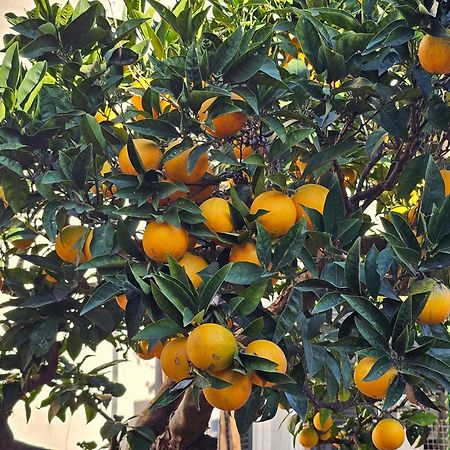 L'Arancio B&B Cecchina Bagian luar foto